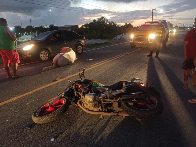Motociclista morre após bater em cavalo solto na SE-100