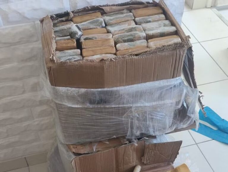 Cerca de 100 quilos de drogas são apreendidos e um suspeito é preso em São Cristóvão