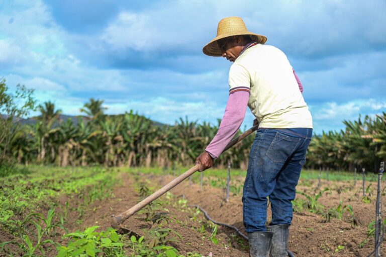 PAA Leite retoma distribuição em Sergipe e passa a atender 6,5 mil famílias