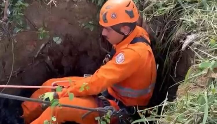 Cachorro é resgatado de cisterna de 10 m de profundidade em Itaporanga