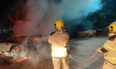 Bombeiros combatem incêndio em veículo na BR-101 em Malhada dos Bois